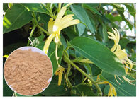 Αντι εμπρηστικό εκχύλισμα λουλουδιών αγιοκλημάτων, χλωρογενές όξινο Lonicera Japonica απόσπασμα 5%